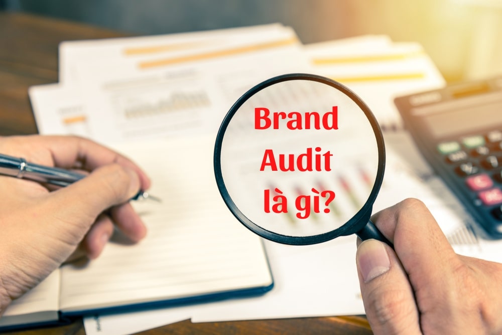 brand audit là gì